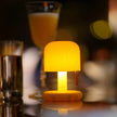 Grampians Glow Portable Lamp