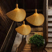 Rattan Sail Pendant Lamp