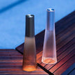 Gianna Wireless Table Lamp