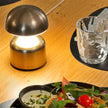 Nickel Portable Lamp