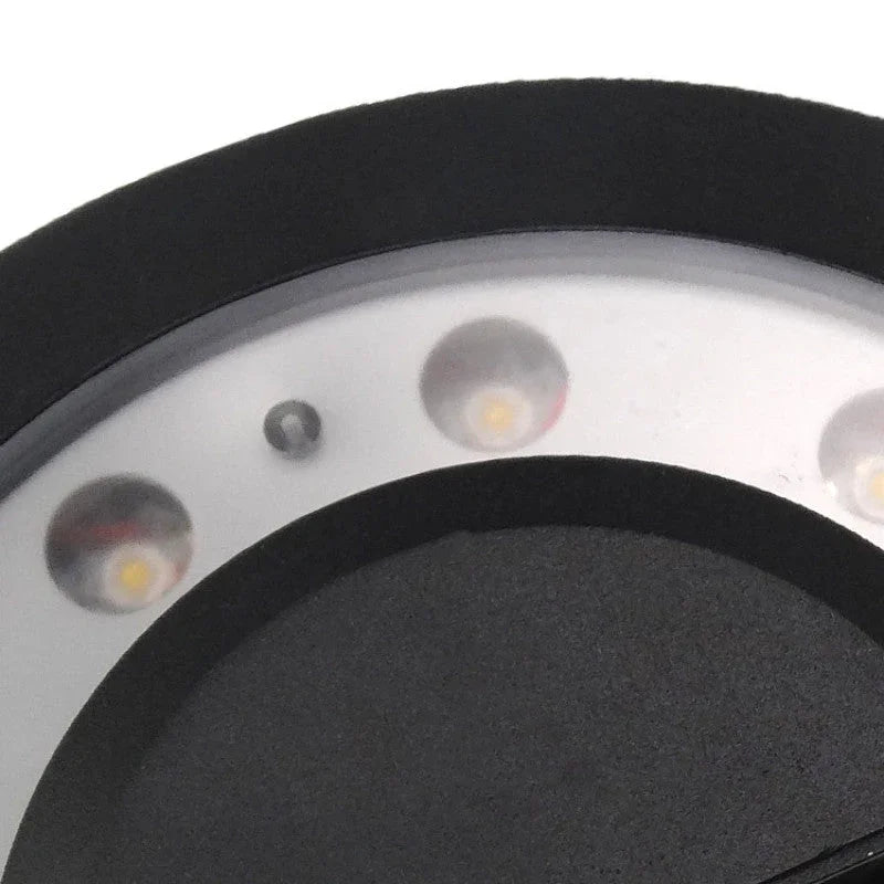 Elisa Outdoor Wall Lamp