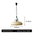Iselin Pendant Light
