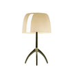 Fiorenza Table Lamp