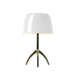 Fiorenza Table Lamp