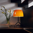 Fiorenza Table Lamp