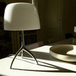 Fiorenza Table Lamp