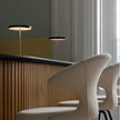 Fiorella LED Portable Lamp