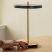 Fiorella LED Portable Lamp