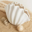 Ceramic Sea Shell Vase