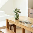 Rutche Table Lamp