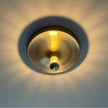 Della Wall and Ceiling Light