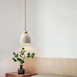 Cassandra Pendant Light