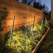 Kenzie LED Lawn Light