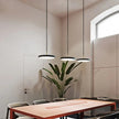 Jacel Pendant Lamp