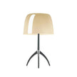 Fiorenza Table Lamp
