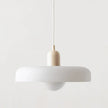 Brass Pendant Light