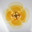 Kindred Pendant Lamp