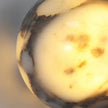Nilo Marble Wall Lamp