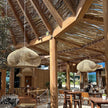 Mauritius Pendant Light