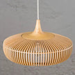 NaturLampa Pendant Lamp