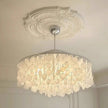Seashell Pendant Chandelier