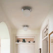 Nashia  Wall Lamp