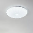 Acrylic Shell Round Ceiling Lamp