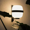 Luzia Wall Light