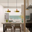 Brass Pendant Light
