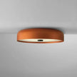 Mayca Ceiling Light