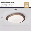 Remigen Ceiling Light