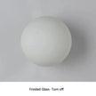 Globa Ceiling Lamp