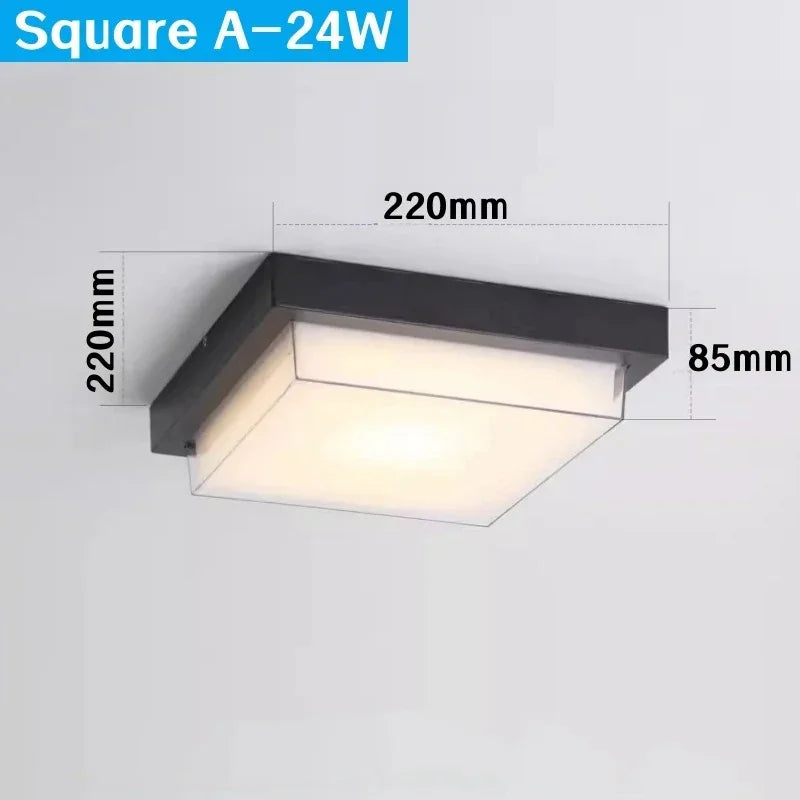Alaya Outdoor Light