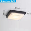 Alaya Outdoor Light
