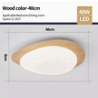 Remigen Ceiling Light