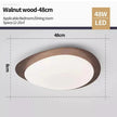 Remigen Ceiling Light