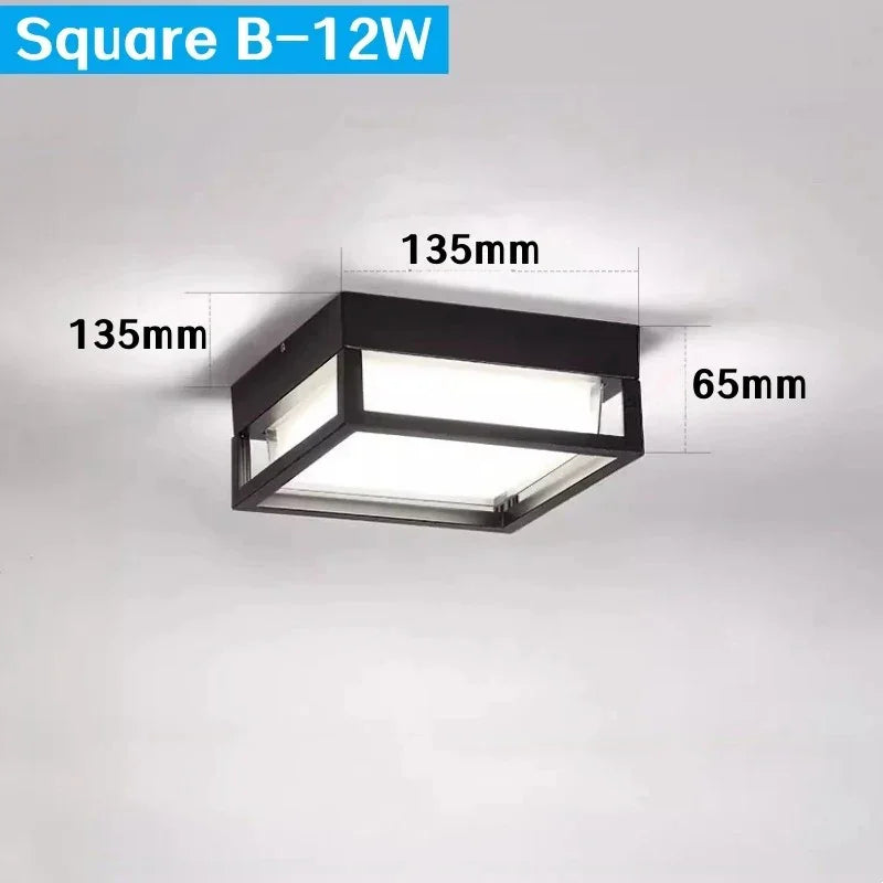 Alaya Outdoor Light