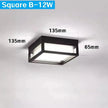 Alaya Outdoor Light