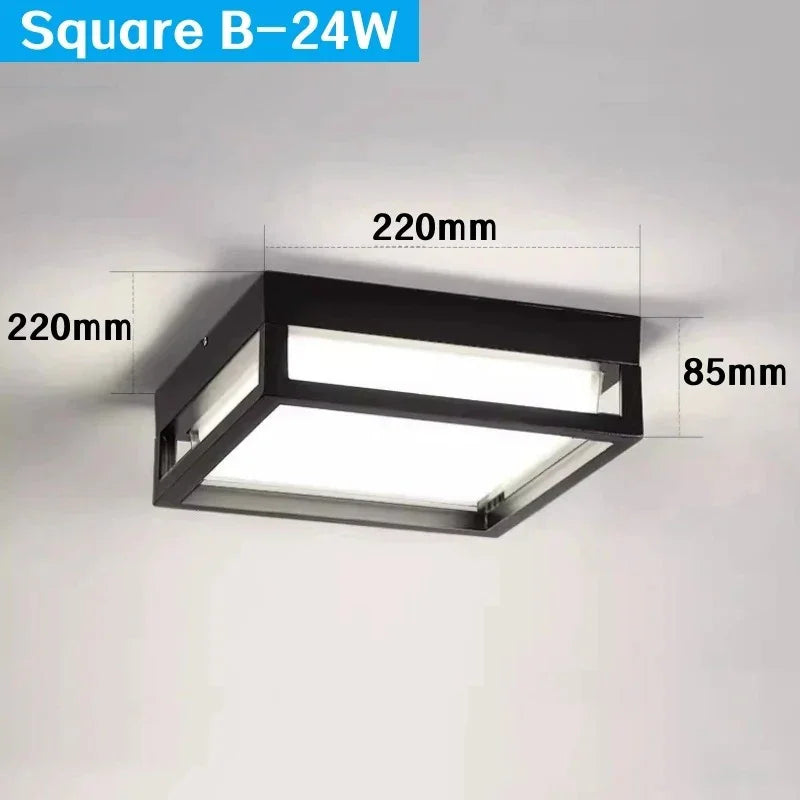 Alaya Outdoor Light