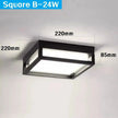 Alaya Outdoor Light