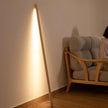 Naya  Floor Lamp