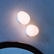 Abby Glass Egg Wall Lamp
