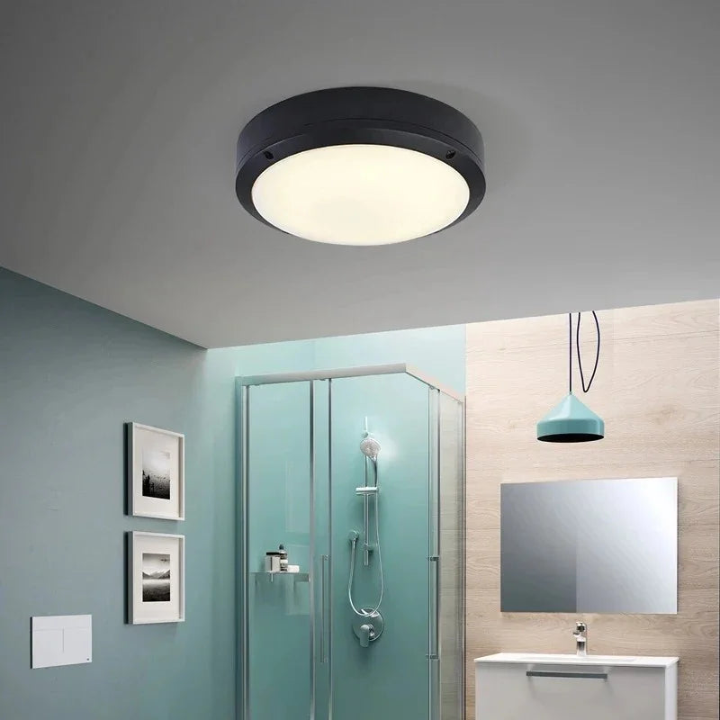 Ayva Outdoor Light