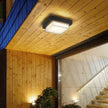 Alaya Outdoor Light