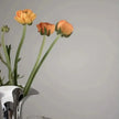 Saun Vase