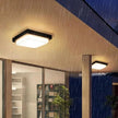 Alaya Outdoor Light