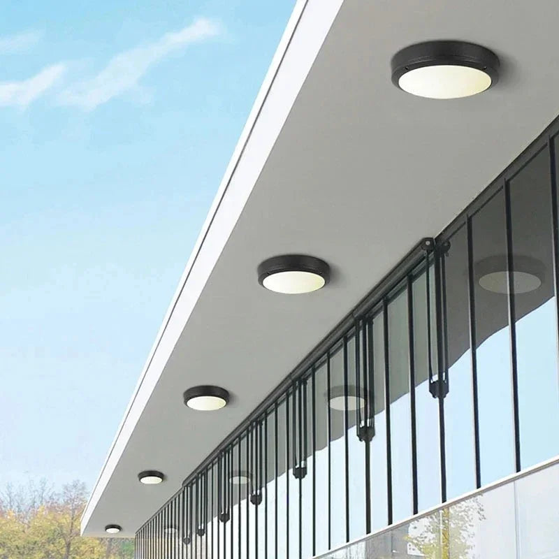 Ayva Outdoor Light