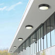 Ayva Outdoor Light
