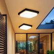 Alaya Outdoor Light