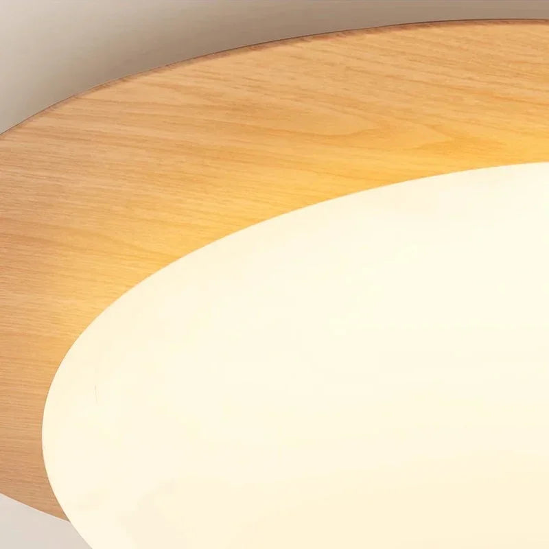 Remigen Ceiling Light